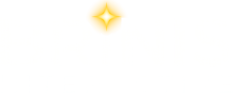 Brinis Interactive
